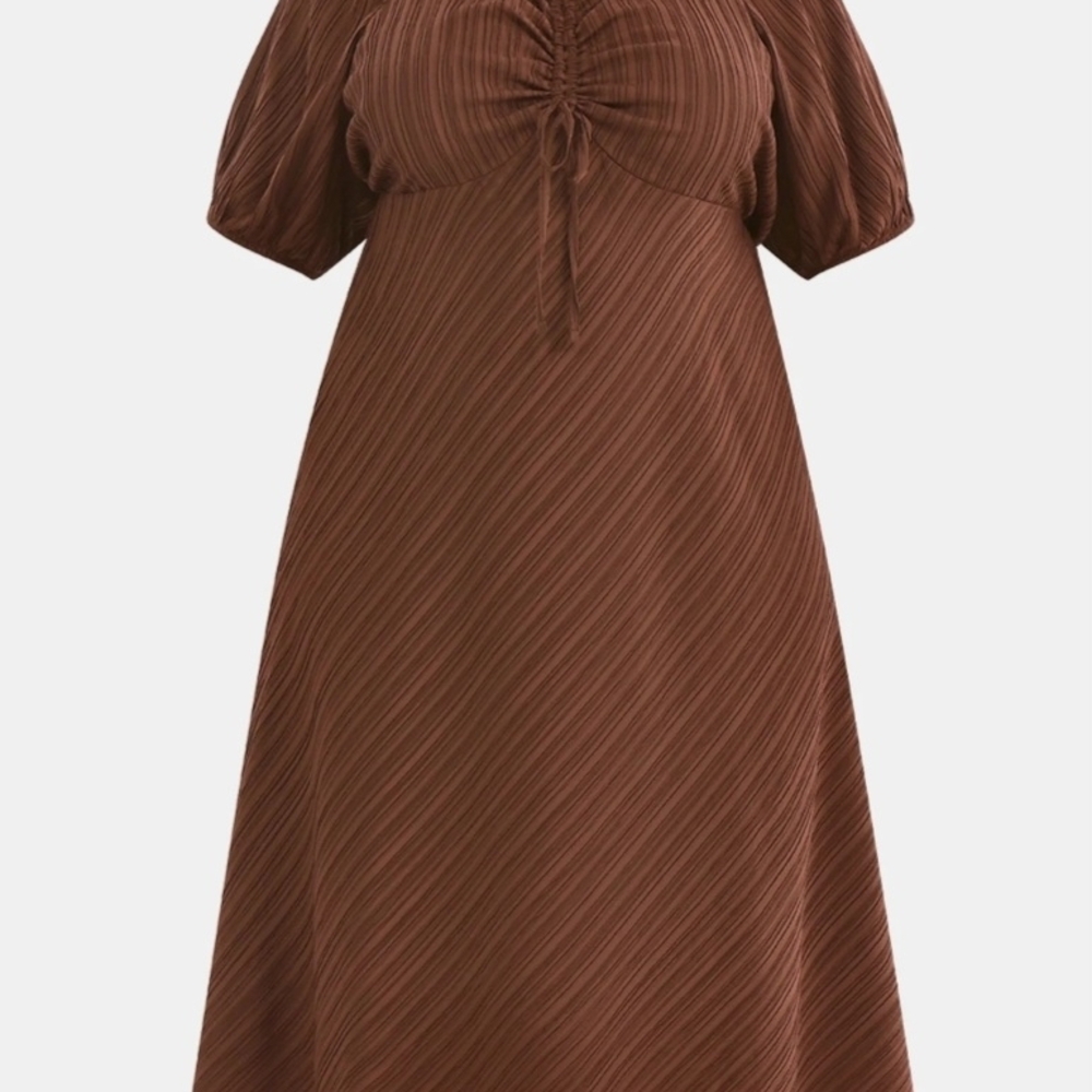 Terra & Sky Chocolate Brown Ruched Midi Dress